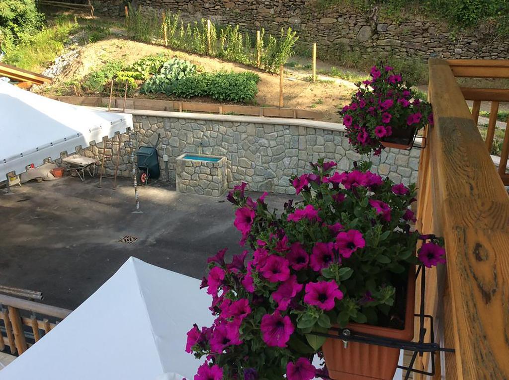 B&B La Marmotta Malè Dış mekan fotoğraf